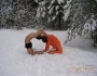 Asanas at the snow