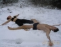 Asanas at the snow