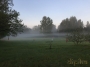 2018.g. Satipatthana Vipašjana