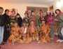 2012 Индия 